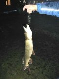 IMG-20211114-WA0004.jpg