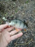 IMG_20211115_080955.jpg