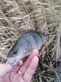 IMG_20211119_095506.jpg
