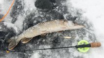 DSC_6588.jpg