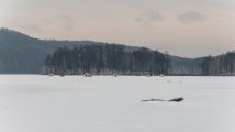 DSC_6597.jpg