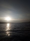 IMG_20211120_083326.jpg