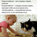 1637344672_shutok.ru.16149025.jpg