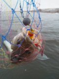 IMG_20211124_133823.jpg