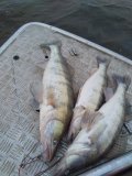 IMG_20211124_153531.jpg