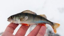 DSC_6711.jpg