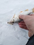 IMG_20211125_085830.jpg