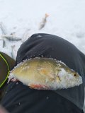 IMG_20211125_140403.jpg