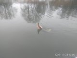 IMG_20211128_120629.jpg