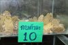 IMG_1269_thumb.jpg