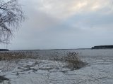9C953488-4EF5-4F27-9D23-5E2C3AEC0BF7.jpeg