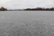 IMG_2981.jpg