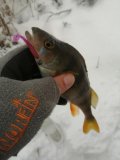 IMG_20211208_090637.jpg