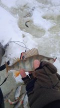 IMG_20211208_114009.jpg