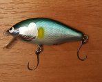 IMG_20211206_163318_edit_552481762076634.jpg