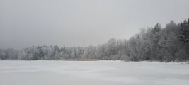 20211212_124216.jpg