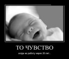1639236609_shutok.ru.16231293.jpg