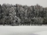 IMG_20211213_151633.jpg