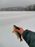 IMG_20211213_151604.jpg