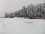IMG_20211213_151125.jpg