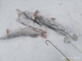 IMG_20211215_122933.jpg