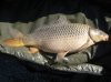 IMG_0844.JPG