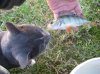 IMG_0846.JPG