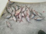 IMG_20211221_160502.jpg