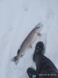 IMG_20211219_101252_1.jpg