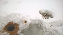 WP_20211219_11_46_50_Pro.jpg WP_20211219_11_46_50_Pro.jpg