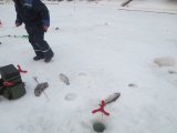 IMG_0007.JPG
