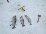 IMG_0012.JPG