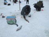 IMG_0018.JPG