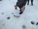 IMG_0009.JPG