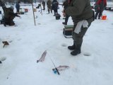 IMG_0017.JPG