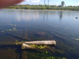 IMG_20210730_101025.jpg