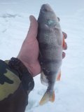 20220101_112724.jpg