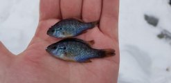 20220105_111151.jpg
