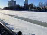 3AD799BF-E1D5-43B5-9C79-99CCAE5DAC73.jpeg