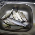 IMG_20220118_093318.jpg
