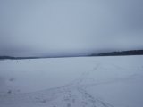 DSCF4831.JPG