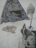IMG_20220120_141437.jpg