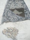 IMG_20220120_141403.jpg