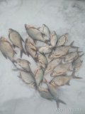 IMG_20220120_141355.jpg
