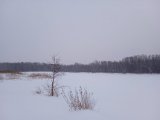 IMG_20220121_154005.jpg