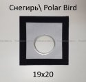 PolB.800x600w.jpg