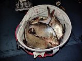 IMG_20220122_045637.jpg