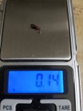 IMG_20220130_182703.jpg