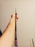 IMG20220131180846.jpg