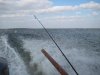 IMG_3213.jpg